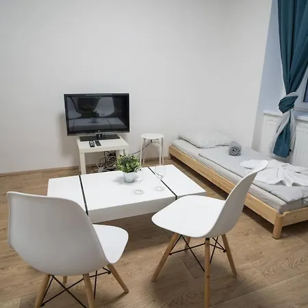 Haas Downtown With Parking Apartment Brno