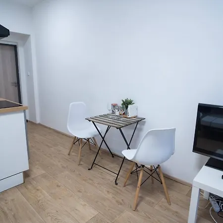 Haas Downtown With Parking Apartment Brno