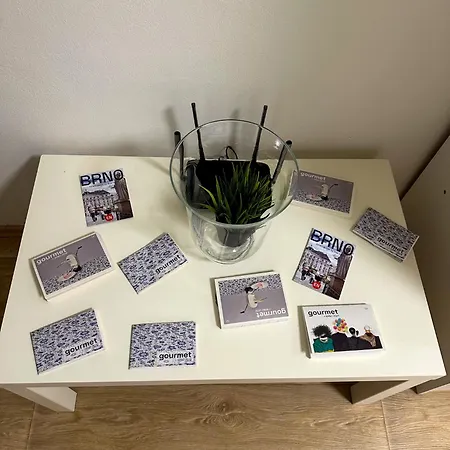 Haas Downtown With Parking Apartment Brno