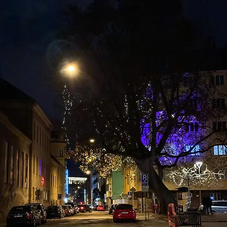 Apartment Haas Downtown With Parking Brno
