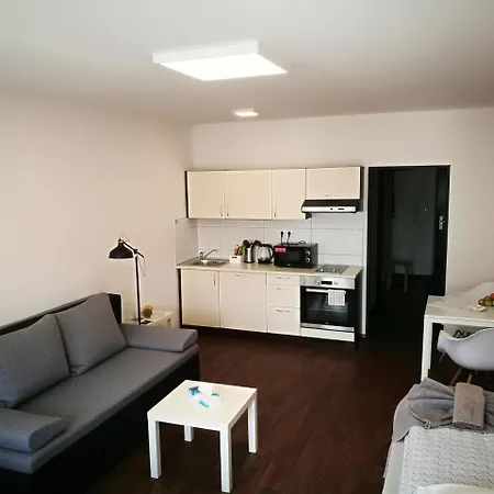 Haas Downtown With Parking * Brno