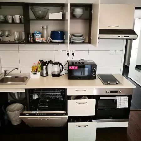 Apartment Haas Downtown With Parking