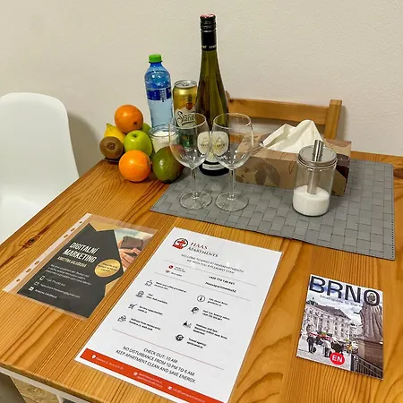 Haas Downtown With Parking Apartman Brünn (Brno)