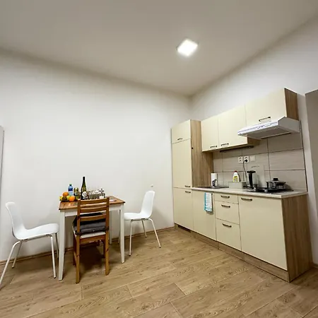 Haas Downtown With Parking Apartment Brünn