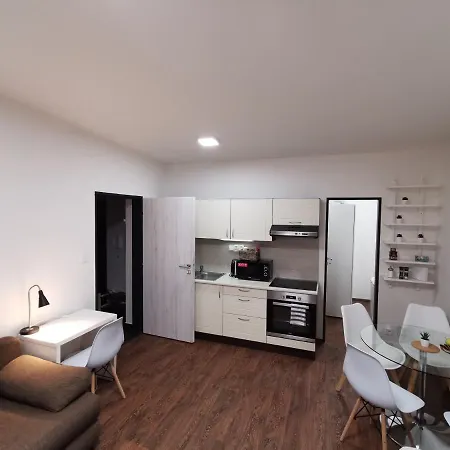 Haas Downtown With Parking Apartment *