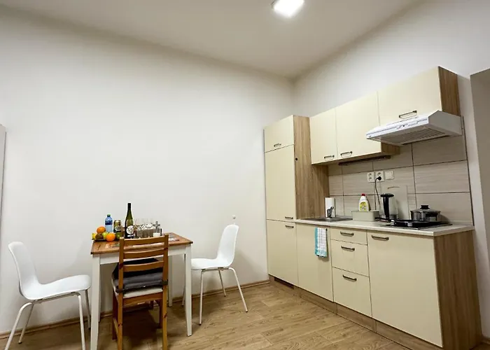 Haas Downtown With Parking Appartement Brno