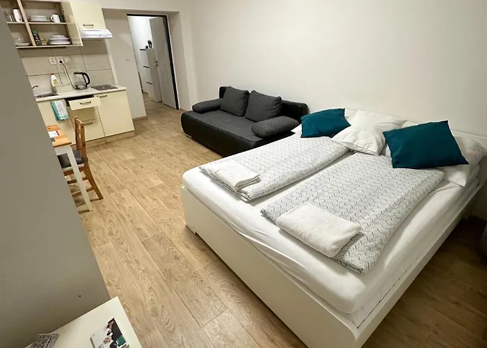 Appartement Haas Downtown With Parking *