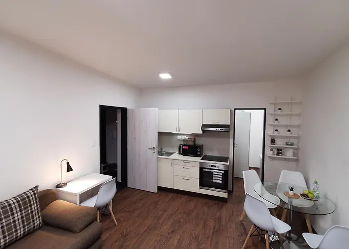 Haas Downtown With Parking Appartement *